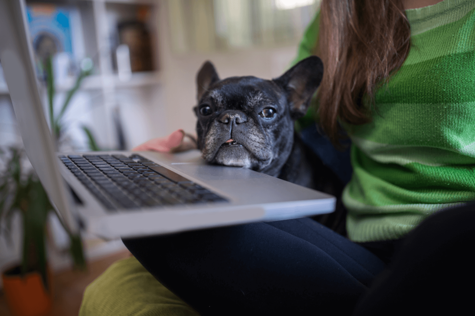 Working From Home A Checklist To Support Your Mental Health Black Dog Institute