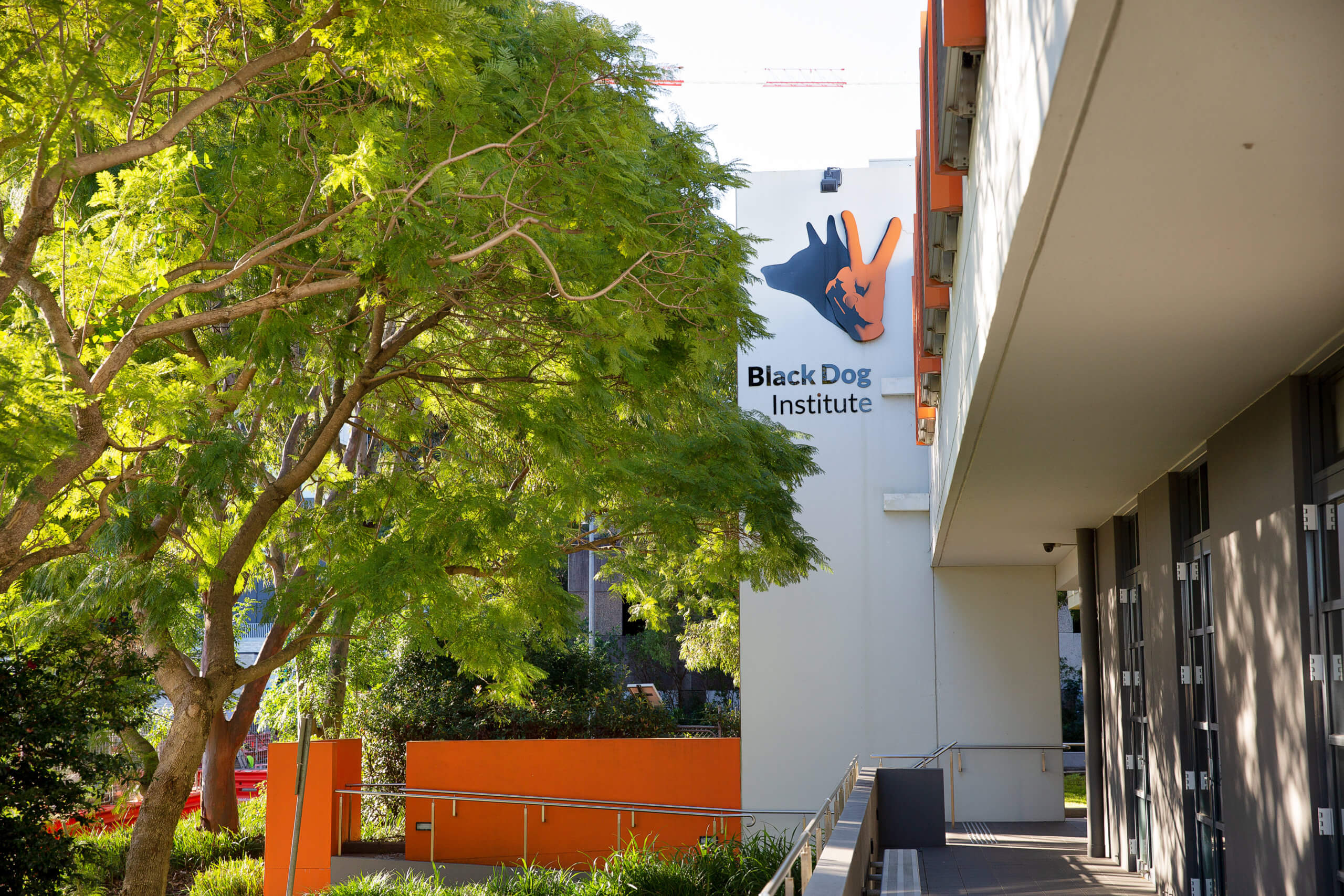 Black Dog Institute Board appointments open the door to further ...