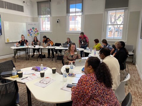 Place-based and collaborative: Black Dog Institute Capacity Building ...