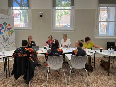Place-based and collaborative: Black Dog Institute Capacity Building ...
